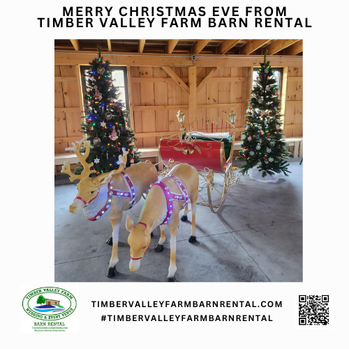 Families and pets enjoying the Venue Clear Spring Maryland Christmas Santa photo booth at Timber Valley Farm.