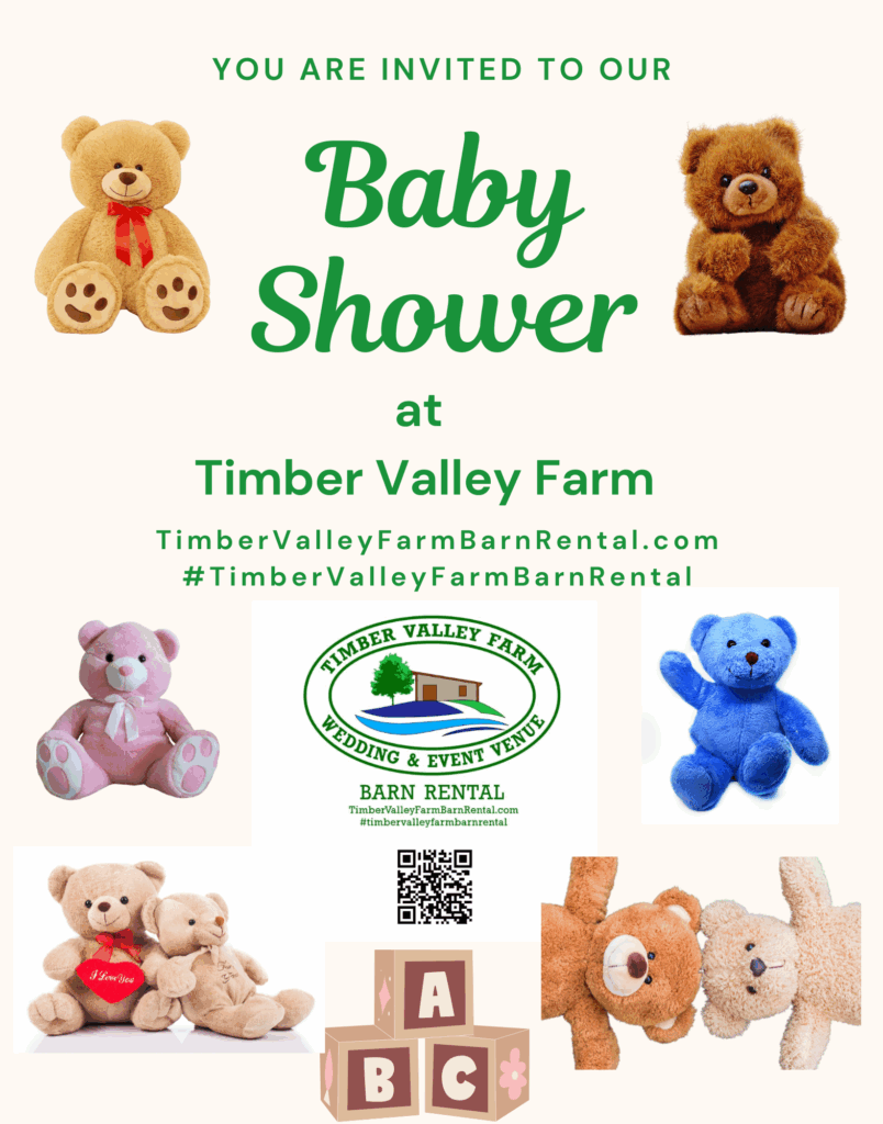 The rustic yet elegant timber frame barn decorated for a baby shower, the ideal Baby Shower Venue Maryland with beautiful country views.