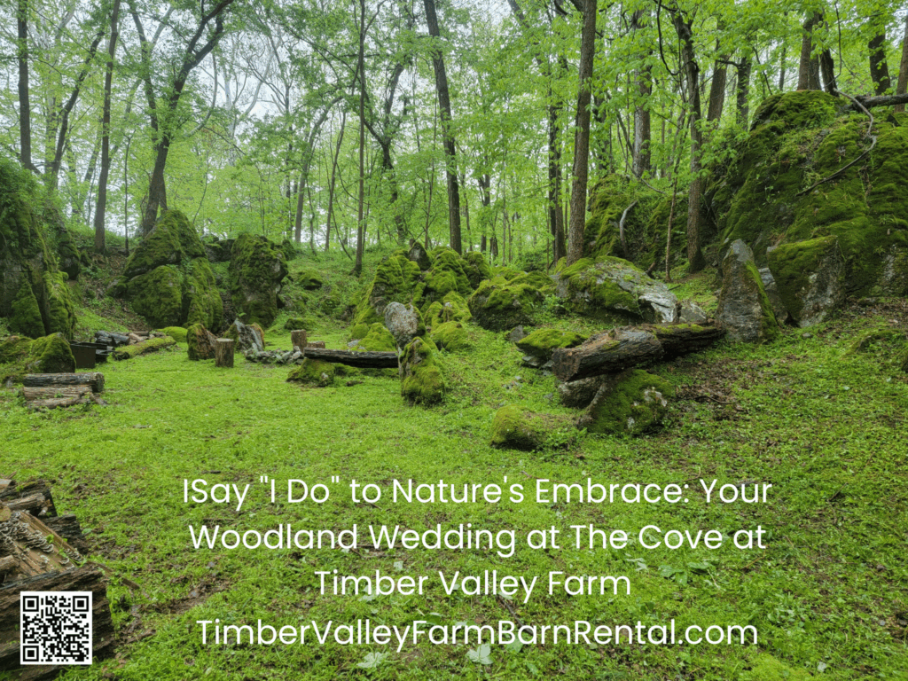 The secluded Enchanted Forest at Timber Valley, the perfect Proposal Engagement Private Wedding Elopement Maryland location with ancient trees and a meandering path.