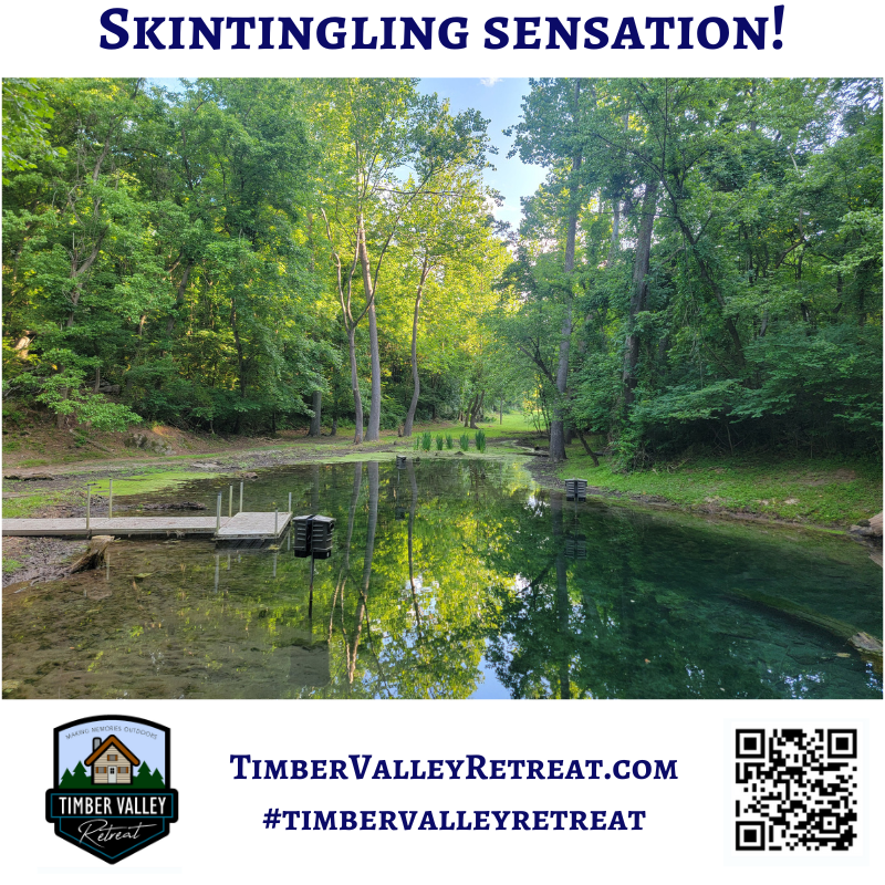 Uniting Your Wedding Venue and Lodging Experience🥂
The unique offering of pairing Timber Valley Farm Barn Rental with the luxurious Wedding Lodging at Timber Valley Retreat is designed for the modern couple who values both beauty and convenience. This is not just a standard Wedding Venue and Lodging rental; it’s a full weekend destination. The accommodations are luxury glamping cabins, providing a refined, rustic stay.