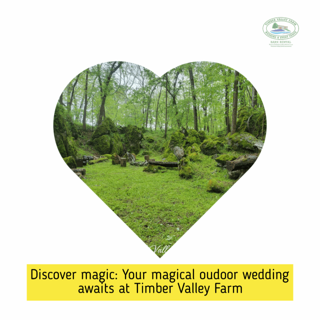 A wedding ceremony in a secluded grove, capturing the "Enchanted Forest" theme at Wedding Venue Clear Spring Maryland The Enchanted Forest.