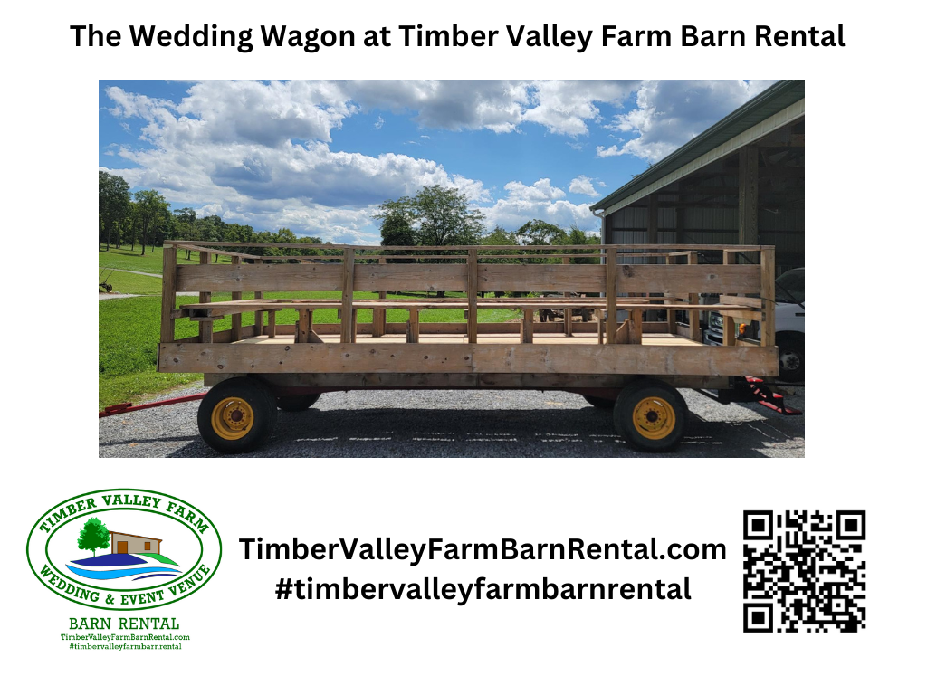 The Western Maryland Advantage💖
Choosing a Timber Valley Farm Barn Rental Wedding Venue means selecting a destination that is both accessible and enchanting. Located close to the borders of PA, WV, and VA, we offer a central meeting point that feels like a world away. This accessibility, combined with the 100 acres of undisturbed beauty, solidifies our reputation as Western Maryland’s true hidden gem.