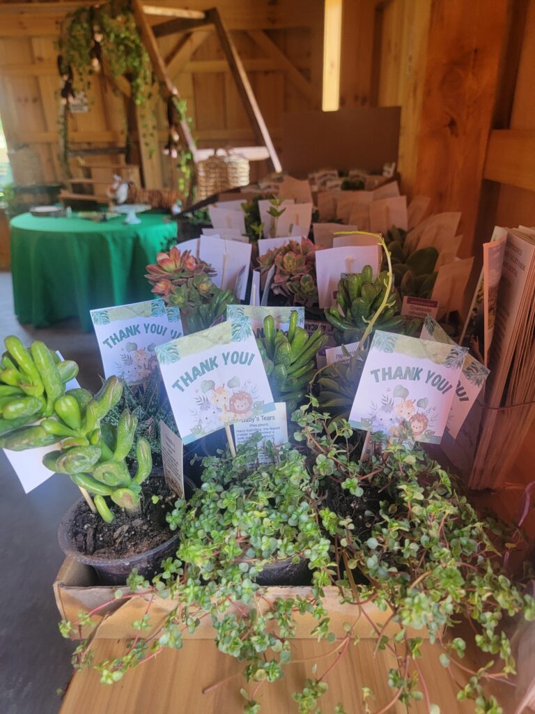 Country Baby Shower Venue Clear Spring Maryland at Timber Valley Farm Barn Rental- Planning Your Dream Shower at Baby Shower Venue Clear Spring Maryland
Securing your date is just the beginning. Utilize these tips to make the planning seamless:
Catering & Refreshments: Our venue offers complete flexibility in choosing your caterer, allowing you to select a menu perfect for a daytime event, from delicate brunch items to casual tea services.
Decor: Embrace the natural wood of the barn. Utilize light fabrics, greenery, and flowers. For specific thematic inspiration and budget-friendly décor ideas, exploring resources like is invaluable.