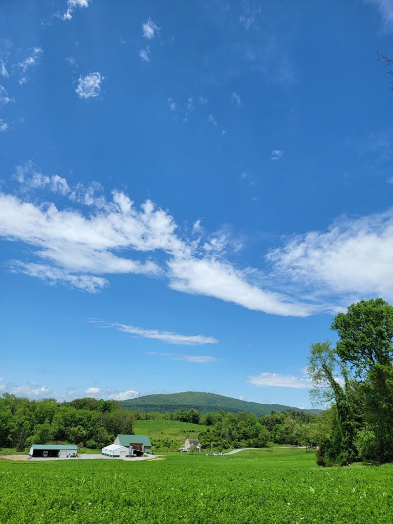 Hop Into Spring Fun! Exclusive Event Venue Barn Rental for Easter Awaits at Timber Valley Farm Barn Rental

Forget the endless preparations at home. When you secure our Barn Rental for Easter, you unlock a naturally themed, beautifully scenic experience that transforms your holiday into a relaxing, joyous event. Our newly built barn—just two years old—offers authentic rustic charm without the maintenance worries of an older building. The picturesque grounds provide a stunning, seasonal backdrop for all your Easter traditions, blending farm tranquility with modern comfort. We offer exclusivity and generous space, ensuring that your family and guests feel comfortable and deeply connected to nature for the day.