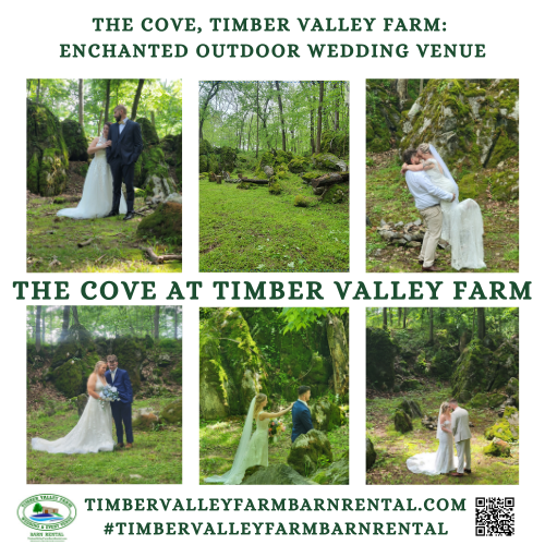 Woodland Wedding Venue | The Cove at Timber Valley Farm Barn Rental🌳
Say “I Do” to Nature’s Embrace: Your Woodland Wedding Venue at The Cove at Timber Valley Farm Barn Rental👰‍♀️ 🤵‍♂️