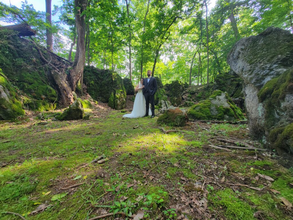 What makes The Cove at Timber Valley Farm Barn Rental the ultimate Woodland Wedding Venue?💒
An Unparalleled Woodland Setting: This isn’t just a venue with a few trees; it’s an immersive woodland experience. Nestled within the expansive beauty of our 100-acre farm, The Cove provides a secluded and serene environment where nature takes center stage. Whether you envision your ceremony beneath a majestic Sycamore, beside the spring fed pond, or deep within a sun-dappled glade, the possibilities for natural beauty are endless.