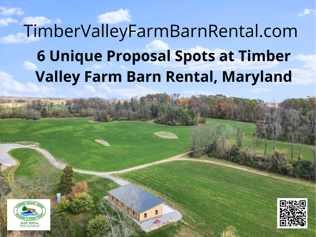 Our stunning timber frame barn, with its soaring ceilings and exposed beams, provides a breathtaking, intimate backdrop for such a momentous occasion. As a family owned and operated business, we understand the importance of this personal milestone and ensure the privacy and magic of your special day are maintained.