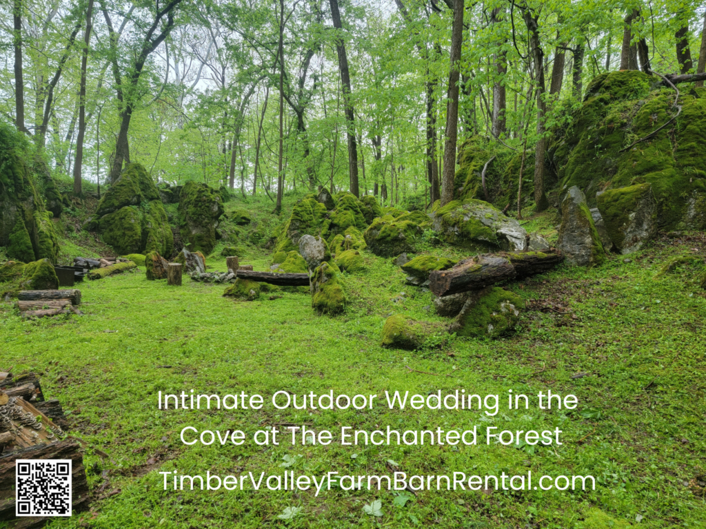 The trees around the cove canopy the area and really give it an enchanting vibe. The moss-covered boulders around the border are truly a work of nature. There are several pathways of moss leading you out of the forest to stroll along and take in the beautiful nature surrounding you. This special corner of the farm provides a serene counterpoint to the rustic elegance of our main two-year-old barn.