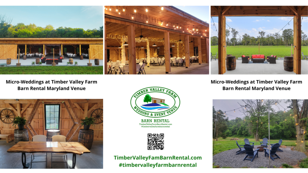 Intimate Barn Rental Maryland – Milestone Birthdays & Anniversaries: Mark those special birthdays (think 50th, 60th, and beyond!) or significant anniversaries with a personalized celebration. Our barn offers a charming, adaptable space where you can create a truly unique event tailored to your vision, focusing on intimate details, customized décor, and cherished connections with your closest family and friends.
Baby Showers & Gender Reveals: Celebrate new beginnings with a rustic twist. Timber Valley Farm provides a picturesque setting for baby showers and gender reveals, offering beautiful backdrops for photos and a cozy ambiance for welcoming your little one. The quiet, family-friendly environment is perfect for this type of celebratory gathering.