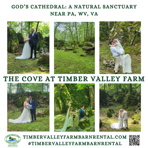 God’s Cathedral at The Cove ⛪🪨
Your ceremony deserves a masterpiece. Included in our rental is access to “The Cove,” an area surrounded by massive moss-covered boulders. It is the spiritual heart of our property, offering a natural amphitheater for your “I do” moment.