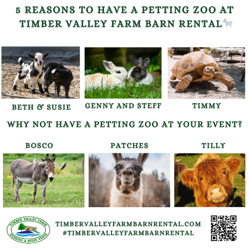 5 Reasons to Have a Petting Zoo at Timber Valley Farm Barn Rental 🐐
There is a specific kind of magic that happens when you introduce friendly animals to a celebration. If you want to host an event that people will talk about for a lifetime, adding a Petting Zoo at Timber Valley Farm Barn Rental is the ultimate "wow" factor! 🐐✨