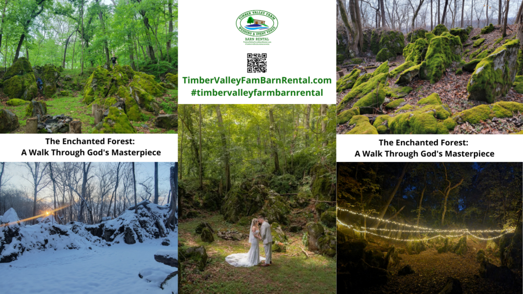 The Meaning of Family Hospitality from Karen and Tom Grosh 🤝
When you book your wedding with us, you aren't just a client on a spreadsheet. You are welcomed with the genuine Family Hospitality from Karen and Tom Grosh. As a small family-owned and operated business, we understand that your wedding day is one of the most significant moments of your life. We are dedicated to ensuring that your experience at God’s Cathedral at The Cove at Timber Valley Farm Barn Rental is seamless, stress-free, and filled with the personal touches that only a family business can provide. Supporting us means supporting a dream, and we, in turn, support yours by maintaining a pristine and beautiful environment for your ceremony.