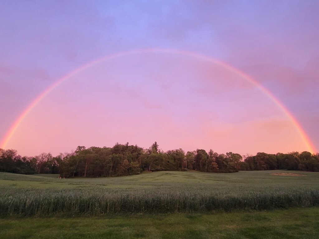 After a light mountain rain, Timber Valley Farm Barn Rental Maryland often plays host to the amazing rainbows that stretch across our green pastures, creating a truly magical atmosphere for your corporate event.