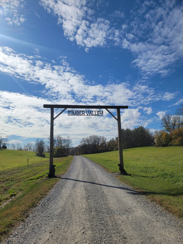 Our farm was named in honor of a rescue dog, Timber, and that spirit of love and home permeates everything we do. When you elope here, you aren't just a client; you are a part of the Timber Valley story. 🐾 We take pride in maintaining a property that feels like a home, not just a business. From the way we care for our fields to the way we interact with every couple, that personal touch is what makes us a standout choice for those seeking a Maryland elopement barn venue.