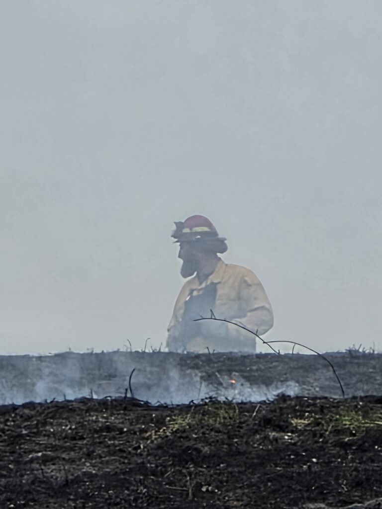 6. Improving Soil Health 🌱
Fire does more than just clear the surface; it impacts the soil in a positive way. The layer of black ash left behind absorbs more sunlight, warming the soil earlier in the spring. ☀️ This jumpstarts the growing season, leading to a more robust and resilient landscape. Furthermore, the removal of the thatch layer allows rainfall to reach the soil more directly, reducing runoff and improving water absorption. 💧 This process ensures that our fields stay green even during the warmer months of the year.

Healthy soil is the bedrock of everything we do at Timber Valley Farm Barn Rental. By encouraging deep root growth through fire management, we are also sequestering more carbon in the ground and preventing erosion. It is a win-win for the environment and the aesthetic of the property. 🌍