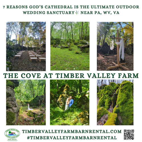 Autumn Wedding Venue Maryland Farm - Barn Rental near PA WV VA - Section 5: Ceremonies in "The Cove" – A Natural Cathedral 🌳
"The Cove" is our signature outdoor ceremony site, designed to feel like a natural cathedral. Imagine walking down a grass aisle toward your partner, with hand-crafted wooden benches providing seating for your loved ones. In October, the overhead canopy of mature trees turns into a ceiling of gold and amber, providing a stunning natural backdrop that requires very little additional decorating.

This area was specifically chosen for its serenity and acoustics. It offers a sense of privacy and peace that is hard to find elsewhere. Choosing an Autumn Wedding Venue Maryland like Timber Valley means your ceremony is framed by the very best of Mother Nature’s work. The "Cove" experience is one of the most talked-about features of our venue, providing a "secret garden" feel within our massive 100-acre estate. 💍