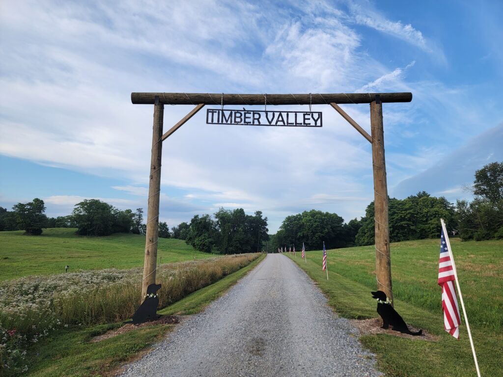 The Ranch-Style Entrance: Iconic Natural Photo Opportunities
First impressions are everything, and our ranch-style entrance sets a refined, rustic tone for your wedding album. This spot is ideal for "just married" photos with a getaway car or intimate couple portraits as you first walk onto the farm as a married couple. The clean lines of the fencing and the curated landscaping provide a structured yet natural frame. This location speaks to the heritage of the Maryland countryside, providing a sense of place and history.