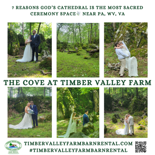 The Spiritual Architecture of God's Cathedral
At God's Cathedral, the architecture is alive. Located at "The Cove" of our 100-acre farm, this ceremony site offers an immersive experience where the wind in the trees provides the soundtrack for your vows. This specific location provides the "sweet spot" for sunset photography, allowing your photographer to capture the natural light as it filters through the forest canopy. Choosing an outdoor ceremony here means embracing a space that feels both grand and intimate.