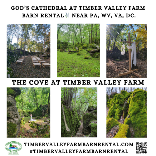 Experience the divine beauty of God’s Cathedral and The Cove at Timber Valley Farm Barn Rental. These natural limestone formations and ancient trees provide a secluded sanctuary for Following Christ Retreats, memorials, and outdoor worship services just seconds from the C&O Canal..