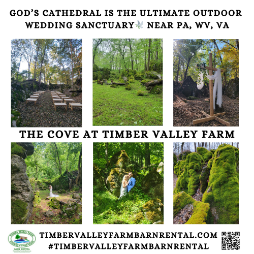 The Golden Hour Wedding Venue at Timber Valley Farm Barn Rental. - One of the most awe-inspiring nearby locations is known locally as "God’s Cathedral." This natural formation of towering trees creates a soaring, cathedral-like canopy that provides a spiritual and majestic atmosphere for portraits. The way the light filters through the leaves in this "natural church" offers a completely different aesthetic than the open meadow, giving your wedding album incredible variety. 🌳🏛️