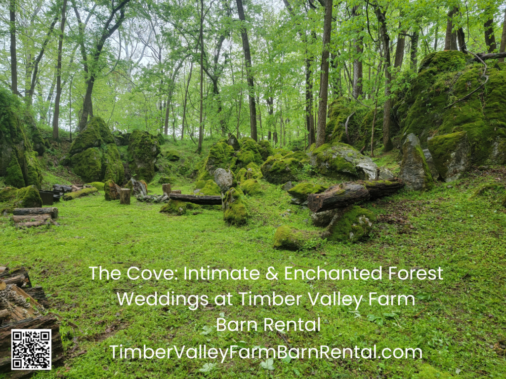 8. The Enchanted Forest Ceremony Site
Deep within the 100 acres of the Timber Valley Farm Wedding Venue lies the Enchanted Forest. This ceremony site feels as old as the mountains themselves. Shaded by a canopy of mature trees and surrounded by the gentle sounds of the Maryland woods, it offers a sense of privacy and peace that is hard to find in the modern world. It is a "green" wedding dream come to life at the Timber Valley Farm Wedding Venue, where the only decorations you truly need are provided by Mother Nature herself.