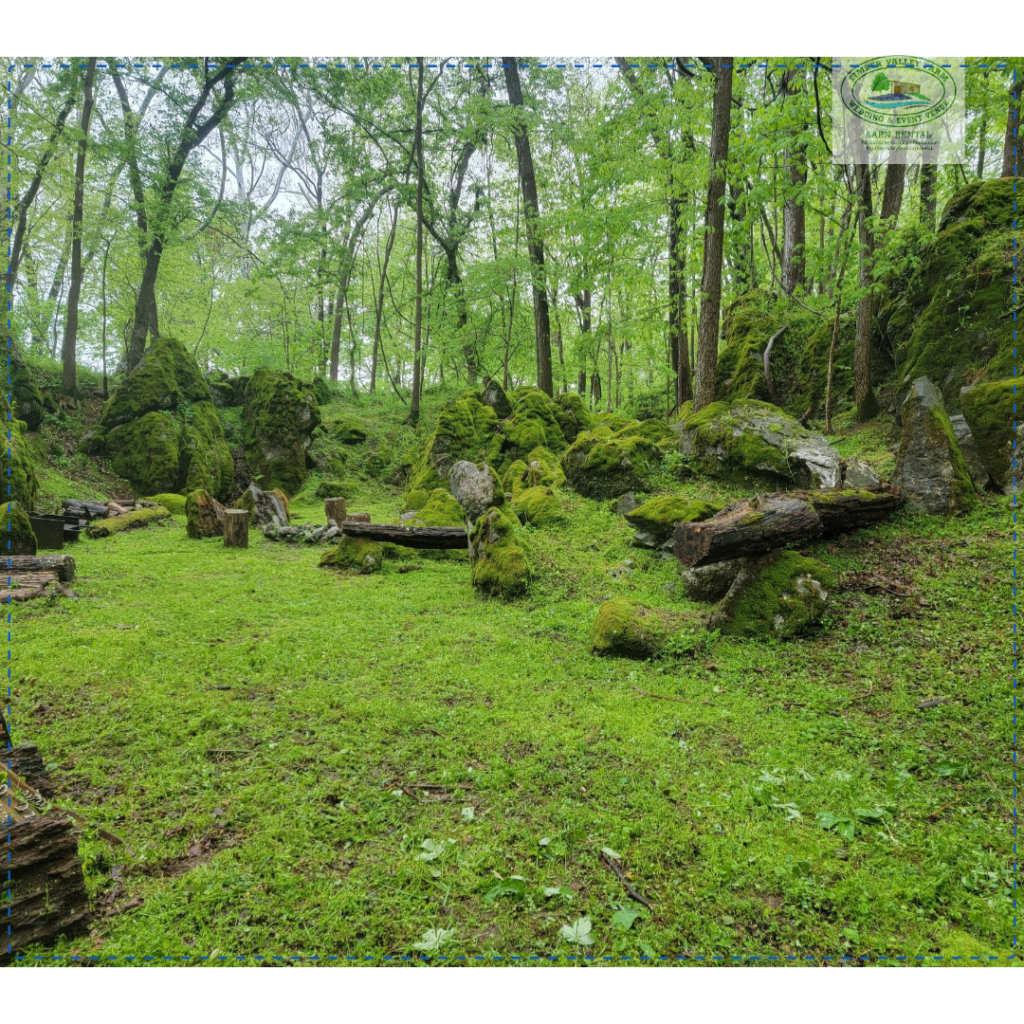3. God’s Cathedral: The Ultimate Breakout Space for Corporate Retreats Maryland
Innovation rarely happens behind a desk. Sometimes, the best ideas emerge under the canopy of an Enchanted Forest. Our specific site, known as God’s Cathedral, features ancient, moss-covered boulders and towering trees that create a natural acoustic chamber, perfect for the breakout sessions required during Corporate Retreats Maryland.
For high-stakes executive visioning or sensitive team-building conversations, this space provides a spiritual and grounding atmosphere. It removes the hierarchy often felt in a corporate office, allowing for more vulnerable, honest, and productive communication. When your team stands among the boulders, the big picture becomes much easier to see, making Corporate Retreats Maryland a transformative experience rather than just a meeting.