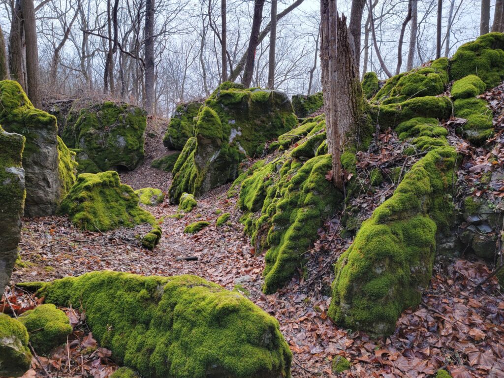3. Technical Progression: Mastering the Moss-Covered Boulders 🪨
Once a student masters the basic hover and "box flight" in the green fields, it is time to move to the "Advanced Course." Our property features stunning moss-covered boulders with a tight and narrow walk-in.

Proximity Training: This area is a pilot's best friend for practicing precision flight. Navigating between the natural rock formations and the trees of the "Enchanted Forest" teaches pilots how to judge distance and use their gimbal cameras for cinematic reveals.

Sensor Testing: This is the perfect environment to test a drone's obstacle avoidance sensors. Students can watch how the aircraft reacts to solid objects in a controlled, slow-speed setting.