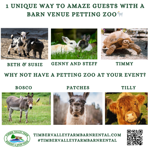 Barn Venue Petting Zoo. The Ultimate Crowd-Pleaser for Every Single Generation

One of the greatest challenges when designing a modern wedding timeline is finding specialized entertainment that appeals to every single age group on your guest list. While loud, high-energy dance floors are perfect for some of your friends, other guests deeply appreciate a quieter, more interactive space where they can mingle, talk, and connect comfortably. An on-site farm animal experience provides the ultimate crowd-pleasing balance that bridges these different preferences seamlessly.