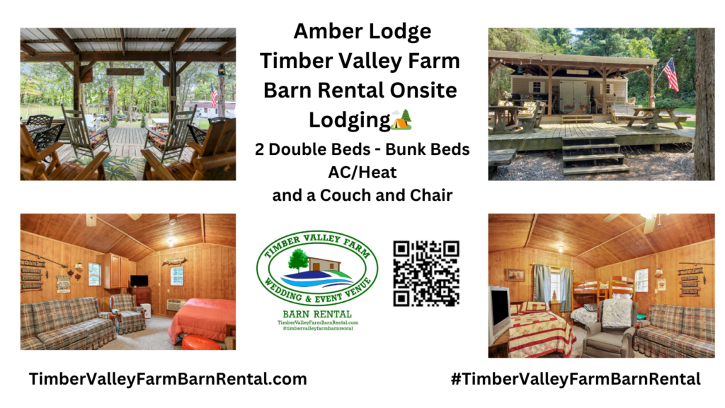 The Amber Lodge: A Family Sanctuary

Amber Lodge is designed with families in mind—spacious, climate-controlled, and filled with natural light. Two double beds and a set of bunk beds ensure everyone enjoys restful nights. Modern finishes, spotless cleanliness, and a calming atmosphere make this a true retreat.