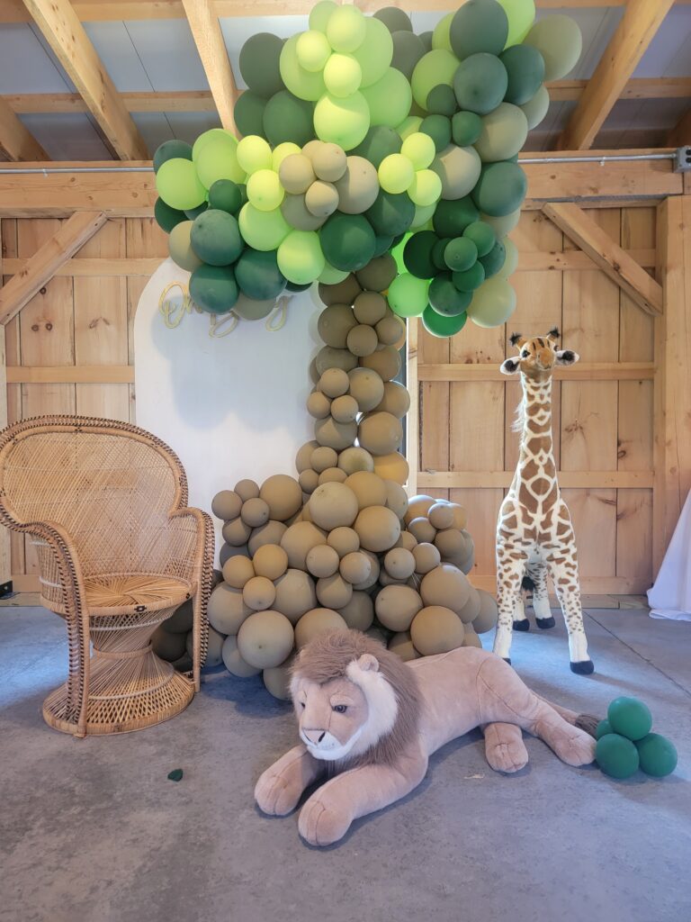 Maryland Barn Event Venue baby shower Timber Valley Farm