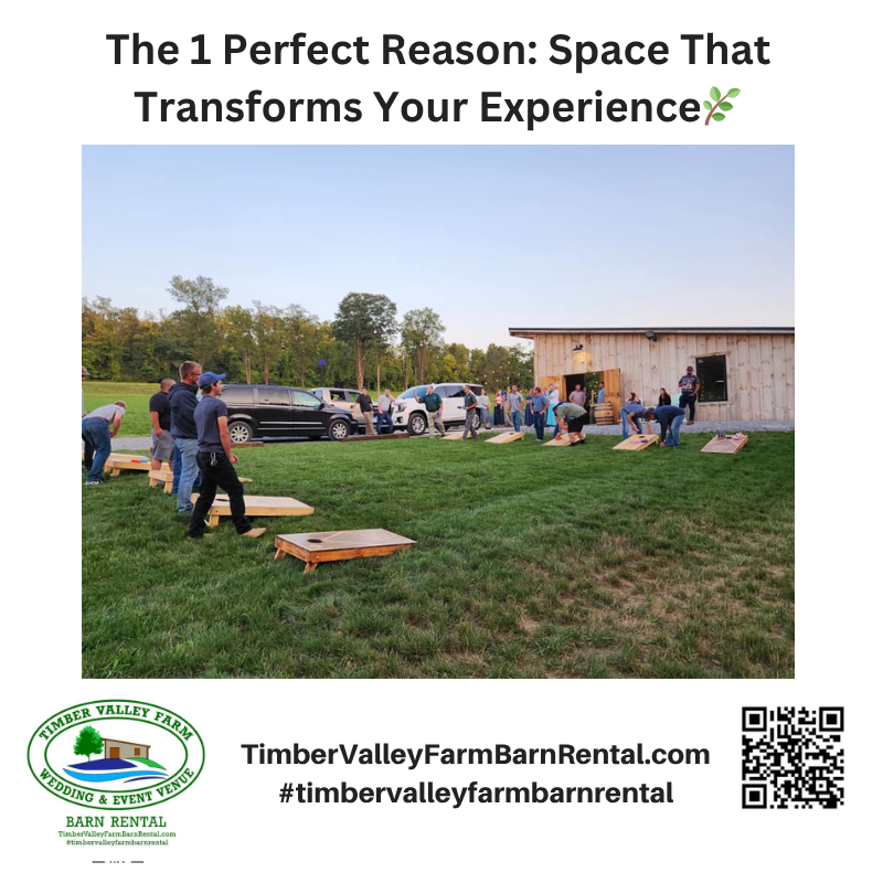 Why an Outdoors Venue Picnic is More Popular Than Ever

The concept of an outdoors venue picnic has evolved dramatically in recent years. What was once a simple blanket-and-basket outing has become a curated experience that blends nature, comfort, and social connection.

People are increasingly choosing outdoor venues for several reasons:

A desire to reconnect with nature
More space for guests to spread out and relax
Flexible layouts for activities and dining
A healthier, fresh-air environment
A more laid-back and enjoyable atmosphere

At Timber Valley Farm Barn Rental, we’ve embraced this shift and elevated it. Our goal is to create a space where your event feels effortless yet extraordinary.