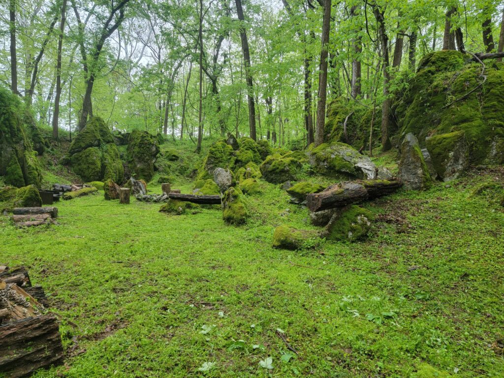 "The Cove" (Our Enchanted Forest Cathedral)

If your wedding vision leans toward the whimsical, mythical, and deeply romantic, walking into the natural woodland area known as "The Cove" will feel like stepping directly into a fairytale. This enchanted forest setting is characterized by a dense canopy of mature hardwood trees and lush, rolling green moss formations that cover the forest floor.