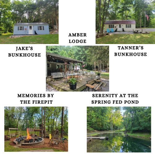 The Cabins at Timber Valley Retreat: Comfort, Connection, and Nature

When you stay at Timber Valley Retreat, you’re not just booking a place to sleep—you’re choosing an experience that blends the tranquility of the outdoors with the comforts of thoughtfully designed cabins. Each of our lodging options offers a unique personality, ensuring every guest—from adventurous families to tight-knit friend groups—feels right at home while surrounded by the beauty of the valley.