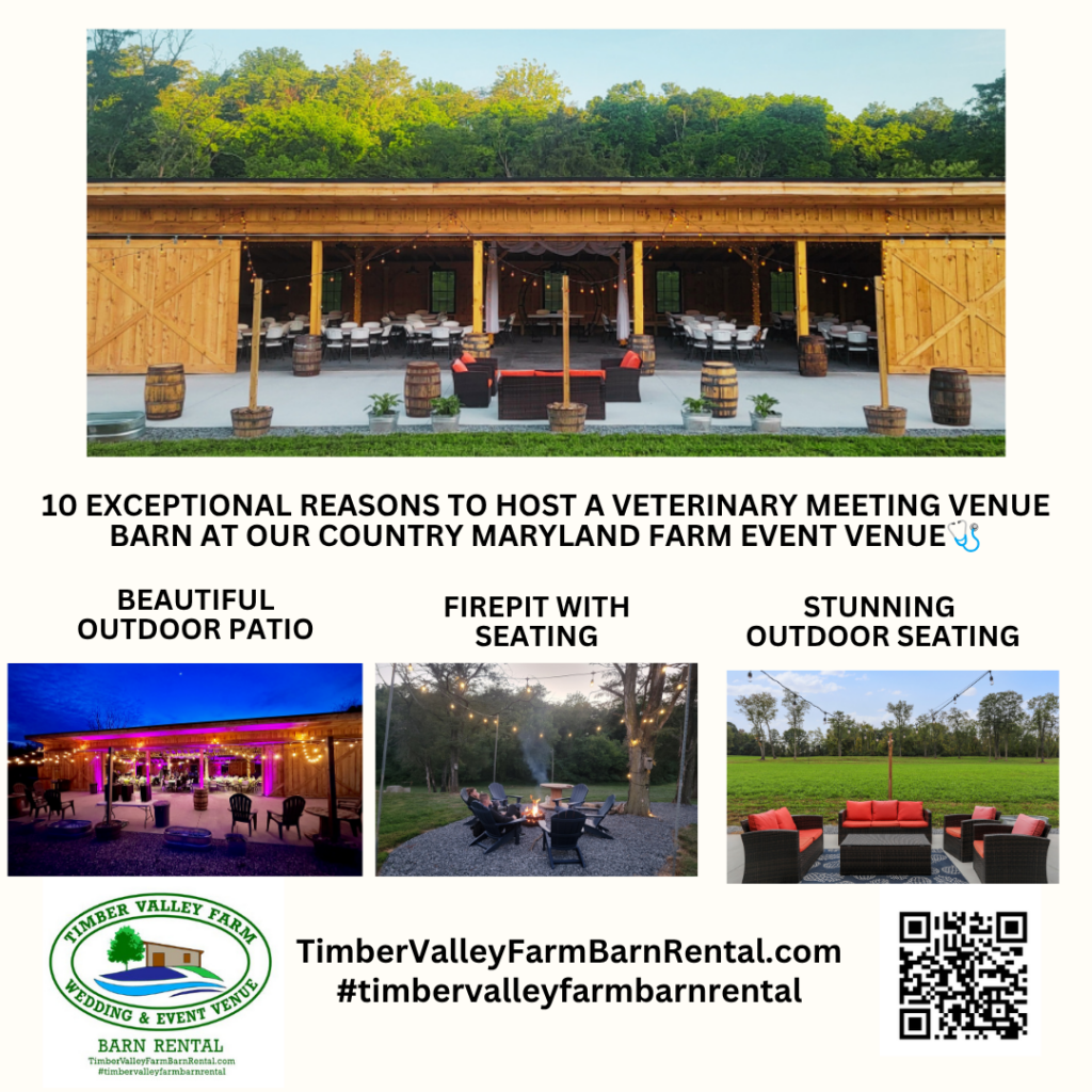 Hosting a Veterinary Meeting Venue Barn at our Country Maryland Farm Event Venue offers an unparalleled opportunity to step away from the daily grind and into a space designed for reflection, growth, and professional success. Here are the ten compelling reasons why veterinary professionals are choosing our timber-frame barn for their most important gatherings.