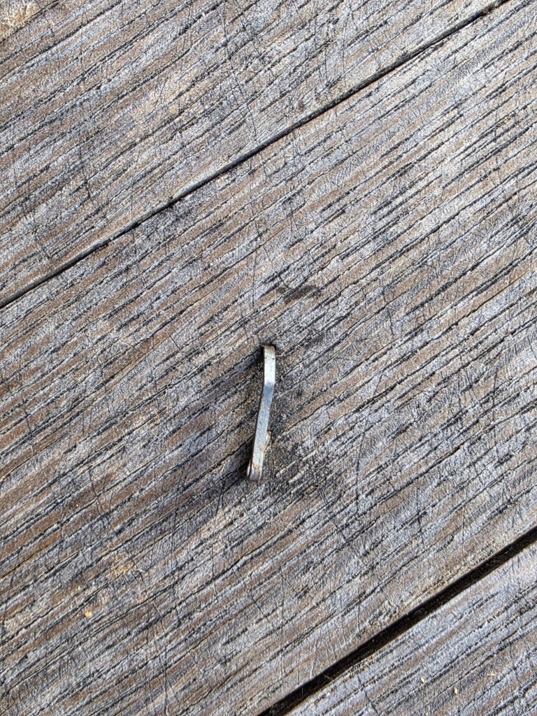 No staples of any kind, in any of the wood at the venue.