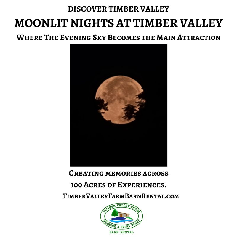 Full moon rising above the trees at Timber Valley Farm Barn Rental in Clear Spring, Maryland.