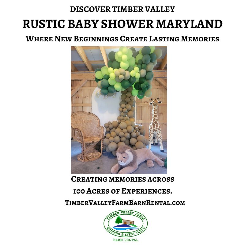 Rustic Baby Shower Maryland safari-themed celebration inside Timber Valley Farm Barn Rental in Clear Spring, Maryland.