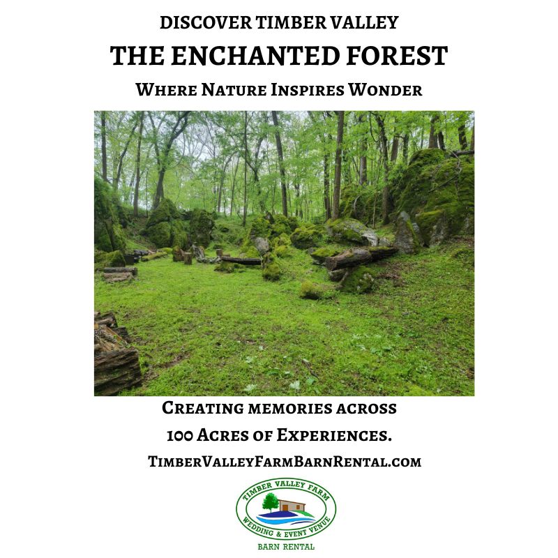 DISCOVER TIMBER VALLEY
THE ENCHANTED FOREST
Where Nature Inspires Wonder
