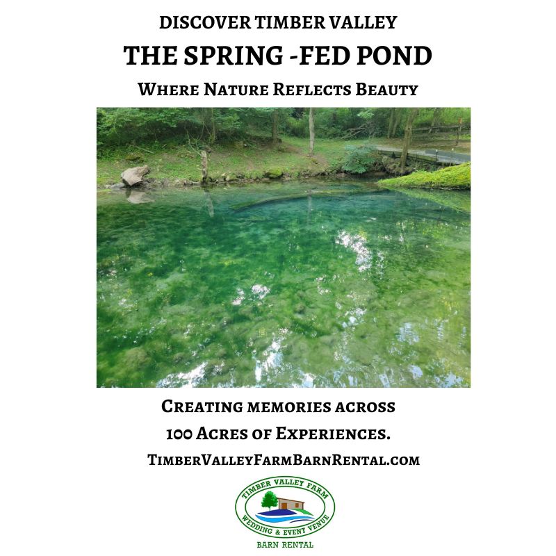 Fed by a natural spring, the crystal-clear waters of the Spring-Fed Pond create one of the most peaceful and picturesque destinations at Timber Valley. Whether you're enjoying the floating dock, relaxing by the water's edge, capturing unforgettable photographs, or simply taking in the quiet beauty, this hidden gem invites you to slow down and reconnect with nature.