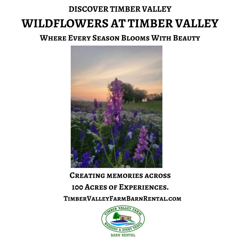 Wildflowers blooming near the Timber Valley driveway entrance arch during a colorful Maryland sunrise.
