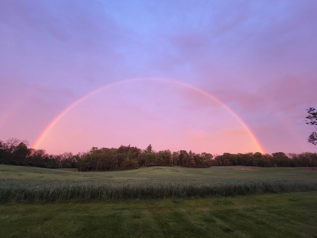 Timber Valley Farm Barn Rental, Private Barn Venue Maryland and Scenic Wedding Celebration. The Stunning Rainbows: Due to our unique position near the Potomac River and the C&O Canal, we are frequently treated to spectacular, vibrant rainbows after a spring or summer rain. Catching a rainbow over the fields is a rare, lucky touch that makes every wedding day feel destined to be special.