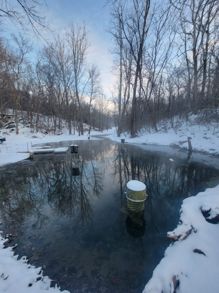 The snow covered area around the spring-fed pond at Timber Valley beside God's Cathedral.
