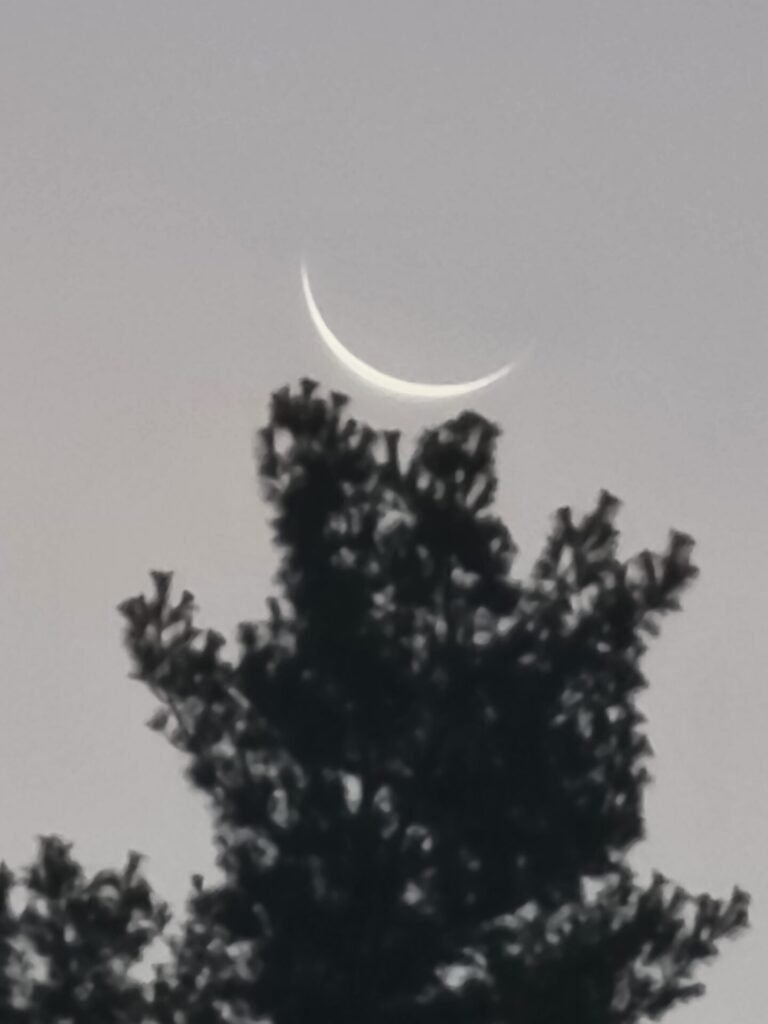A slender crescent moon rises above the treetops at Timber Valley Farm Barn Rental, capturing the peaceful beauty of Moonrise in Western Maryland and Maryland Moonlight Photography.