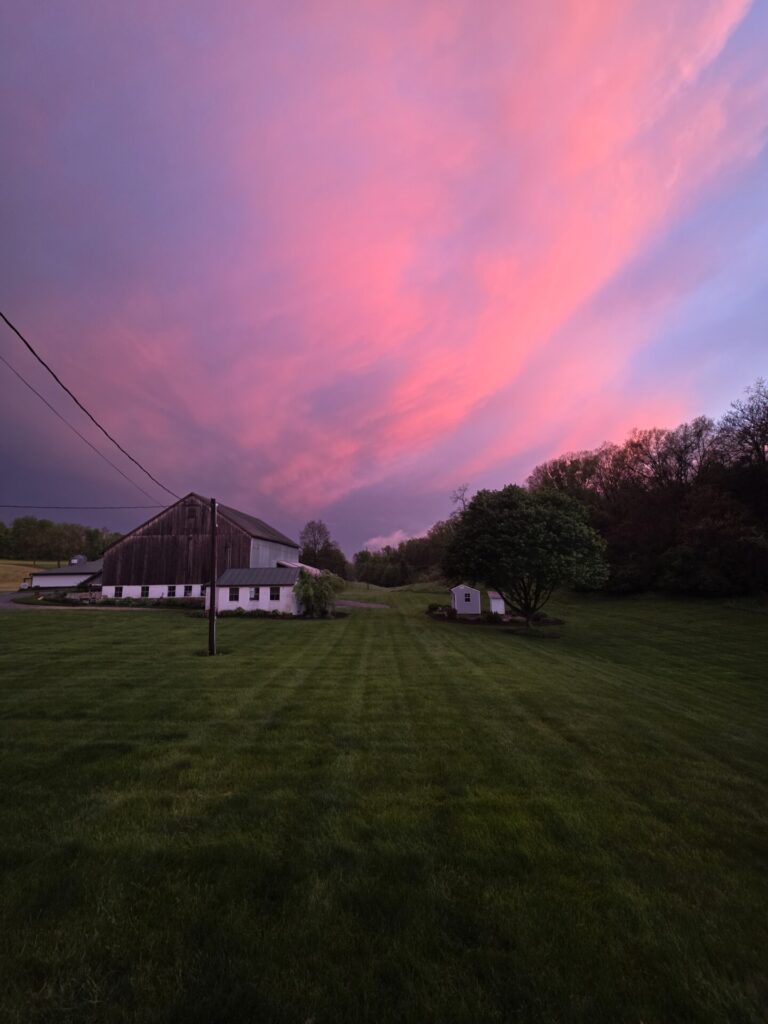 Professional photographers often plan wedding portraits around sunset for one simple reason—the light is extraordinary. During the Golden Hour in Western Maryland, the soft evening glow creates warm, natural colors that flatter every photograph while adding depth and beauty to the surrounding landscape.