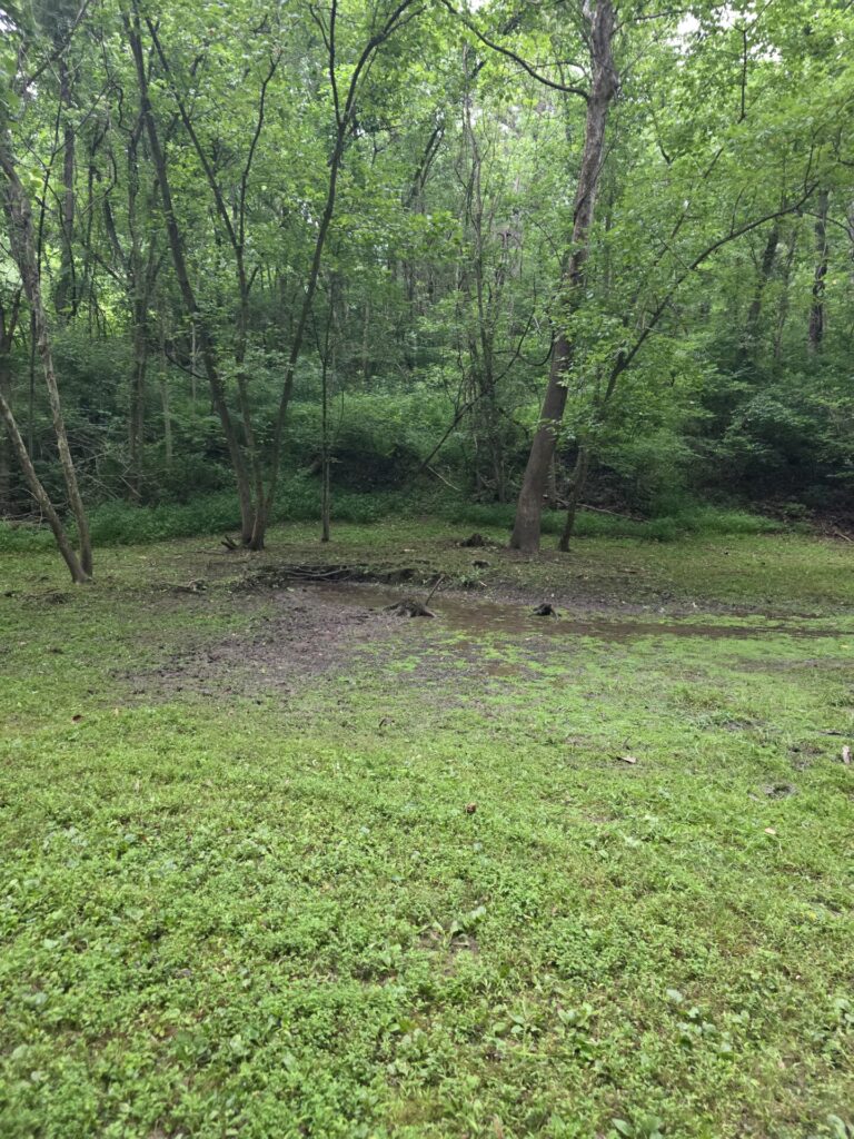 Natural spring surfacing through the ground that feeds the crystal-clear Spring-Fed Pond at Timber Valley Farm Barn Rental in Clear Spring, Maryland.