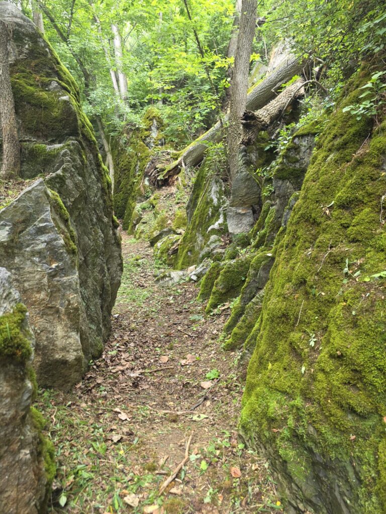 The narrow pathway leading into God's Cathedral Maryland at Timber Valley Farm Barn Rental just weeks before the once-forgotten gate was installed, with towering moss-covered boulders creating a peaceful woodland passage.