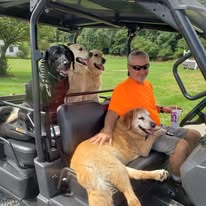 Friendly Farm Dogs riding the Timber Valley Trailblazer with Tom at Timber Valley Farm Barn Rental during another adventure through the beautiful Western Maryland countryside.