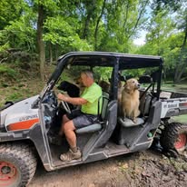 Friendly Farm Dogs riding the Timber Valley Trailblazer through the woods at Timber Valley Farm Barn Rental, enjoying life on a Maryland farm.