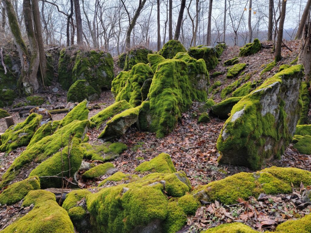 The moss covered boulders at the Enchanted Forest Maryland at Timber Valley. Come see the Enchanted Forest Maryland an enjoy a Western Maryland Nature Experience at Timber Valley Farm Barn Rental.