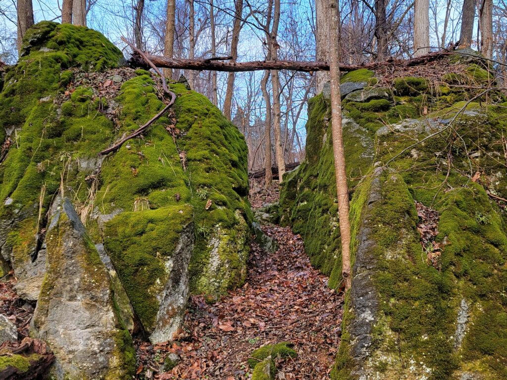 A marrow passageway in the enchanted forest leads to another hidden section of the moss covered boulders.